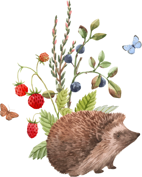Naturkita-Nano_0001_Vector-Smart-Object
